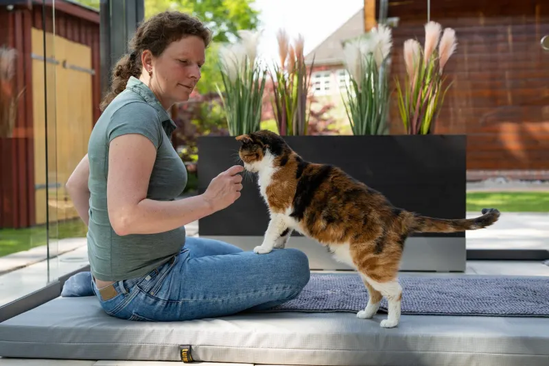 Dr. Kruse sitzt auf einer Matte und untersucht eine dreifarbige Katze