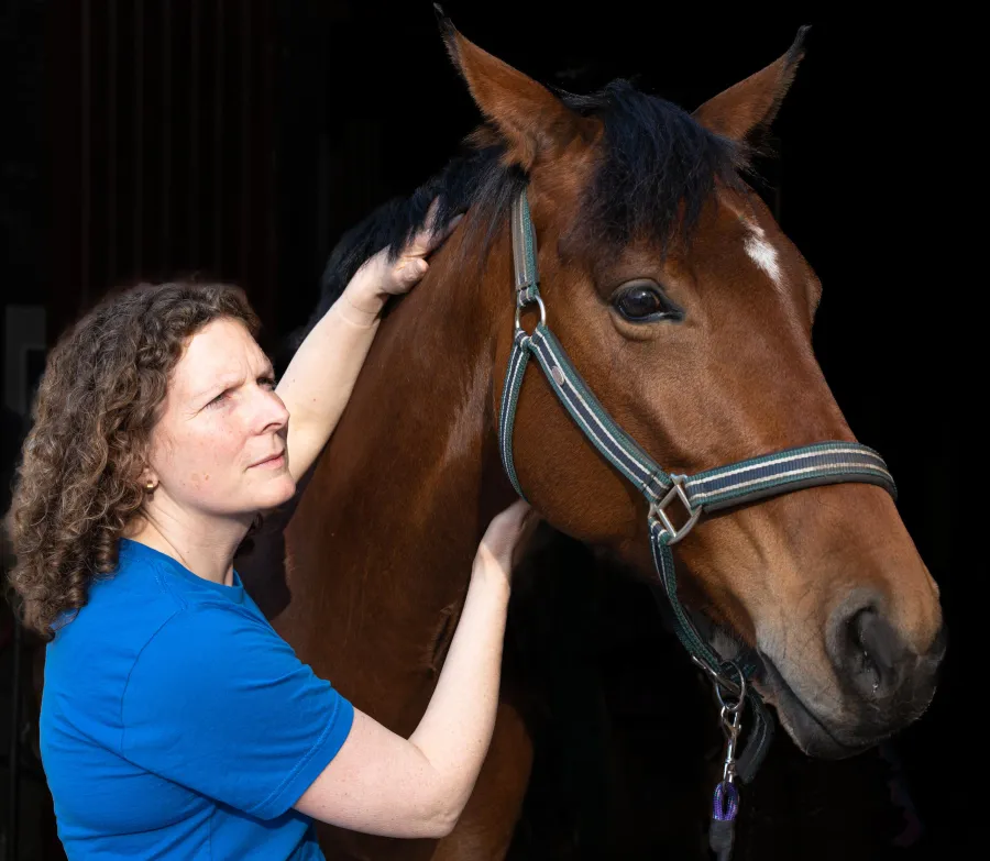 Dr. Alexandra Kruse behandelt ein braunes Pferd am Hals